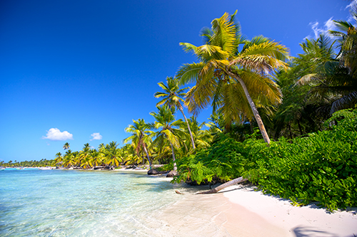 Caribbean beach - JN Bank