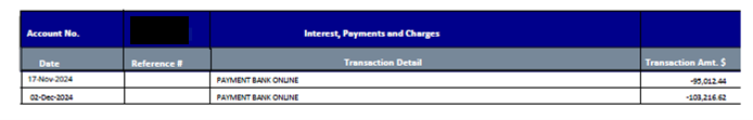 credit-card-statement-3 (1) - JN Bank